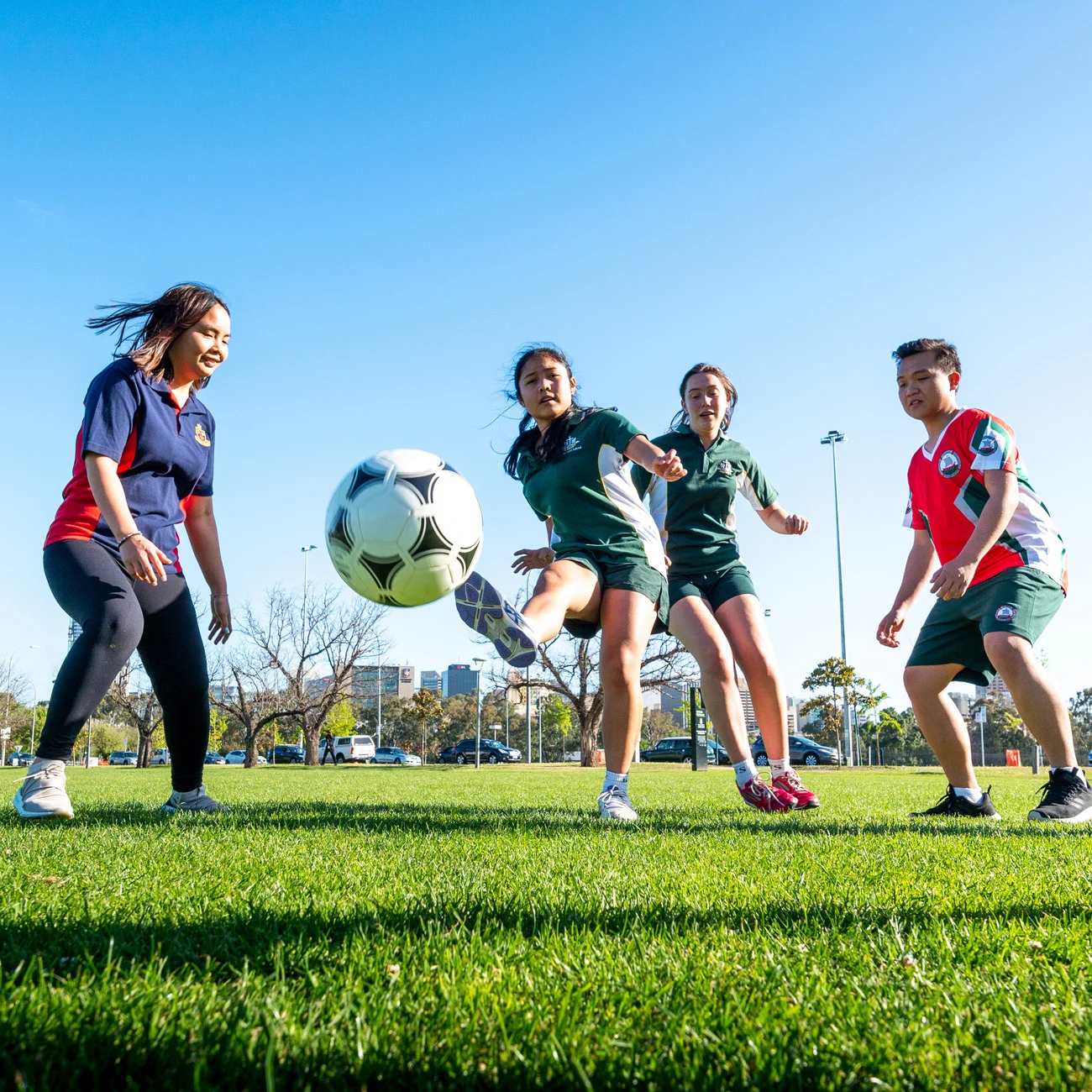 导致多名球 导致多名球