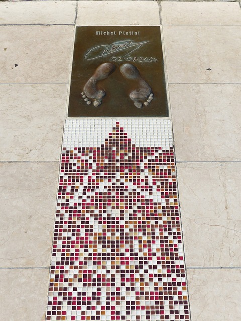 教练组成专 教练组成专