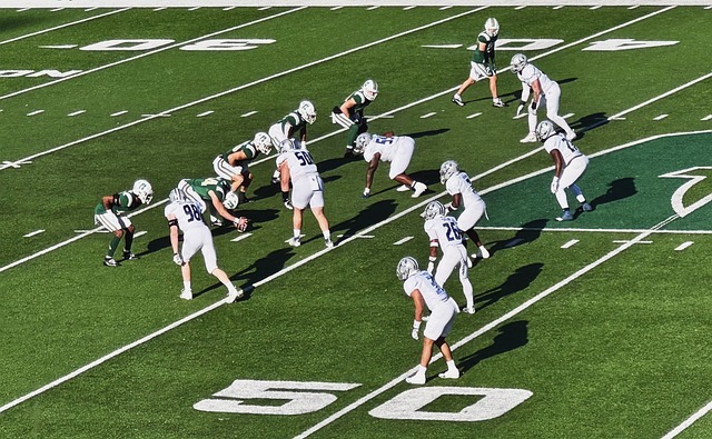 们的自由和 们的自由和